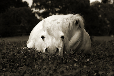 Richard Baxter Photography